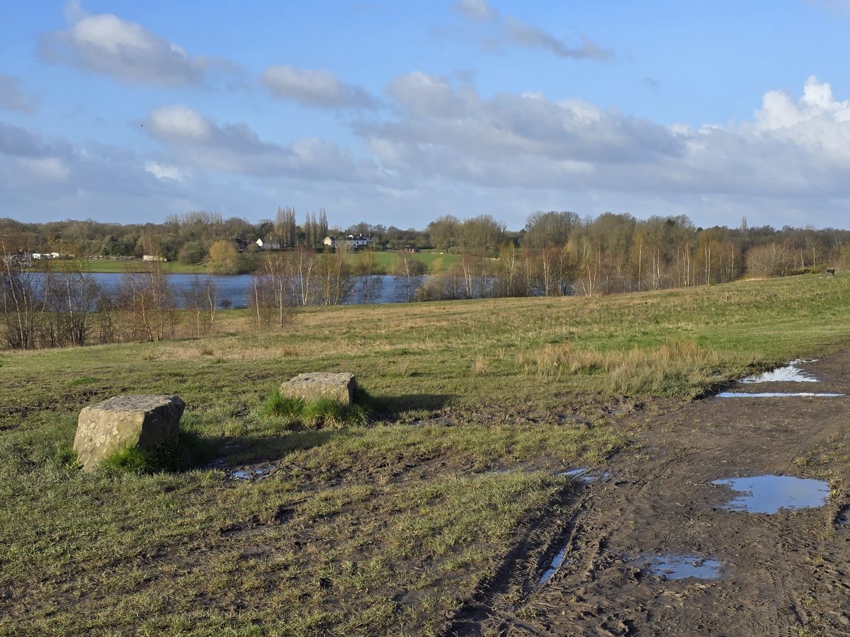 PenFlashparkrun tweet media