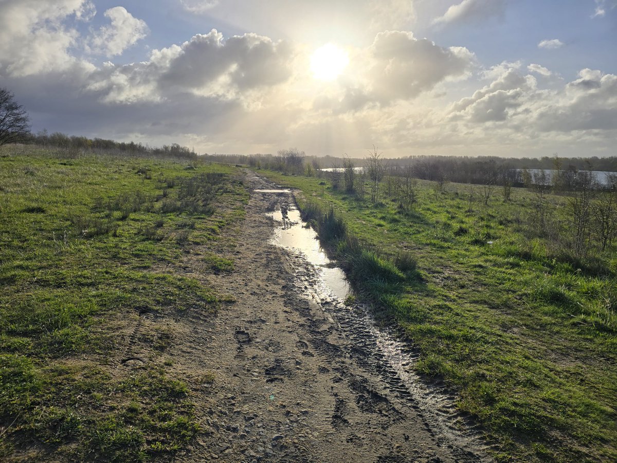 PenFlashparkrun tweet media
