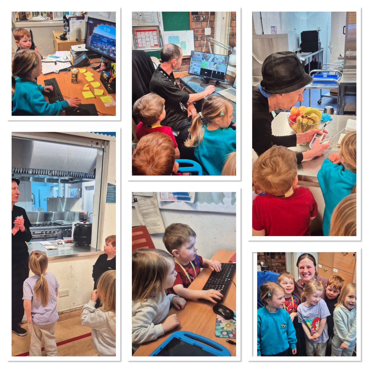 Newton primary tweet media