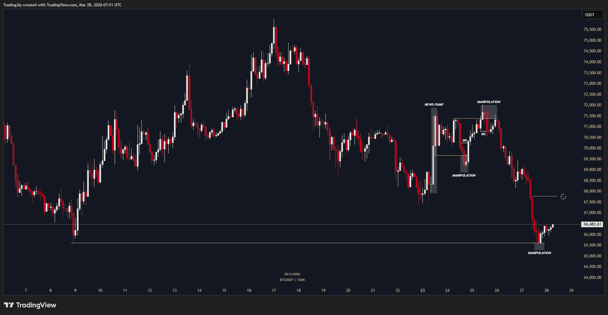 Jip Molenaar tweet media