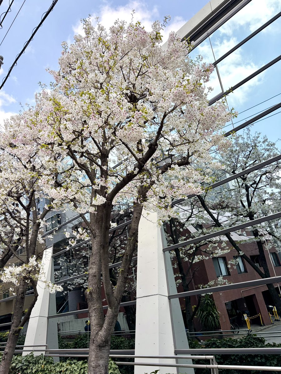 デジタル・フロンティア / Digital Frontier Inc tweet media