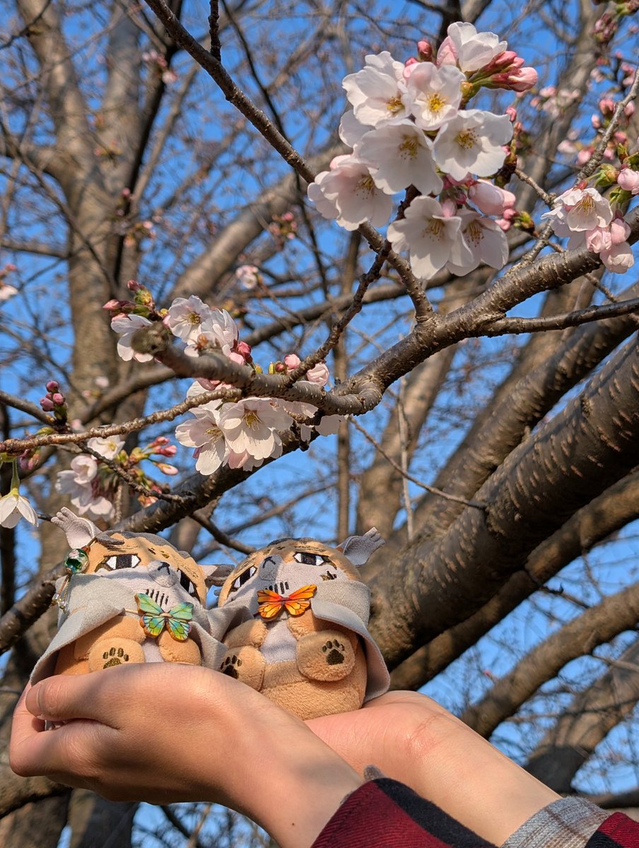 happa🌱 tweet media