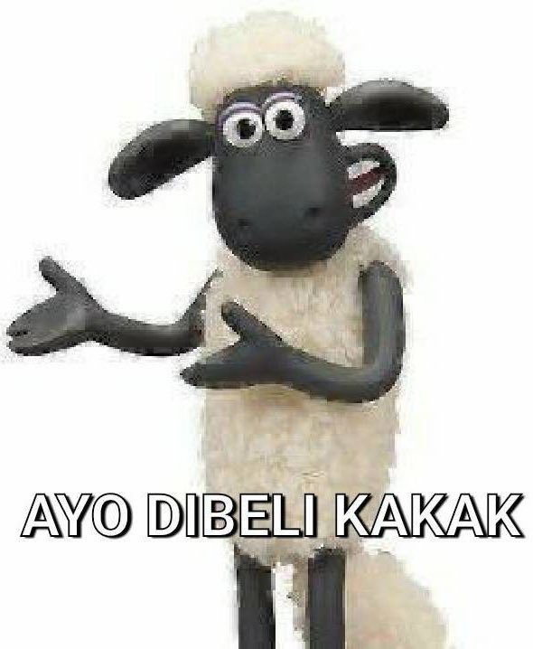 Quina🌞 jual followers ig instagram tiktok murah tweet media