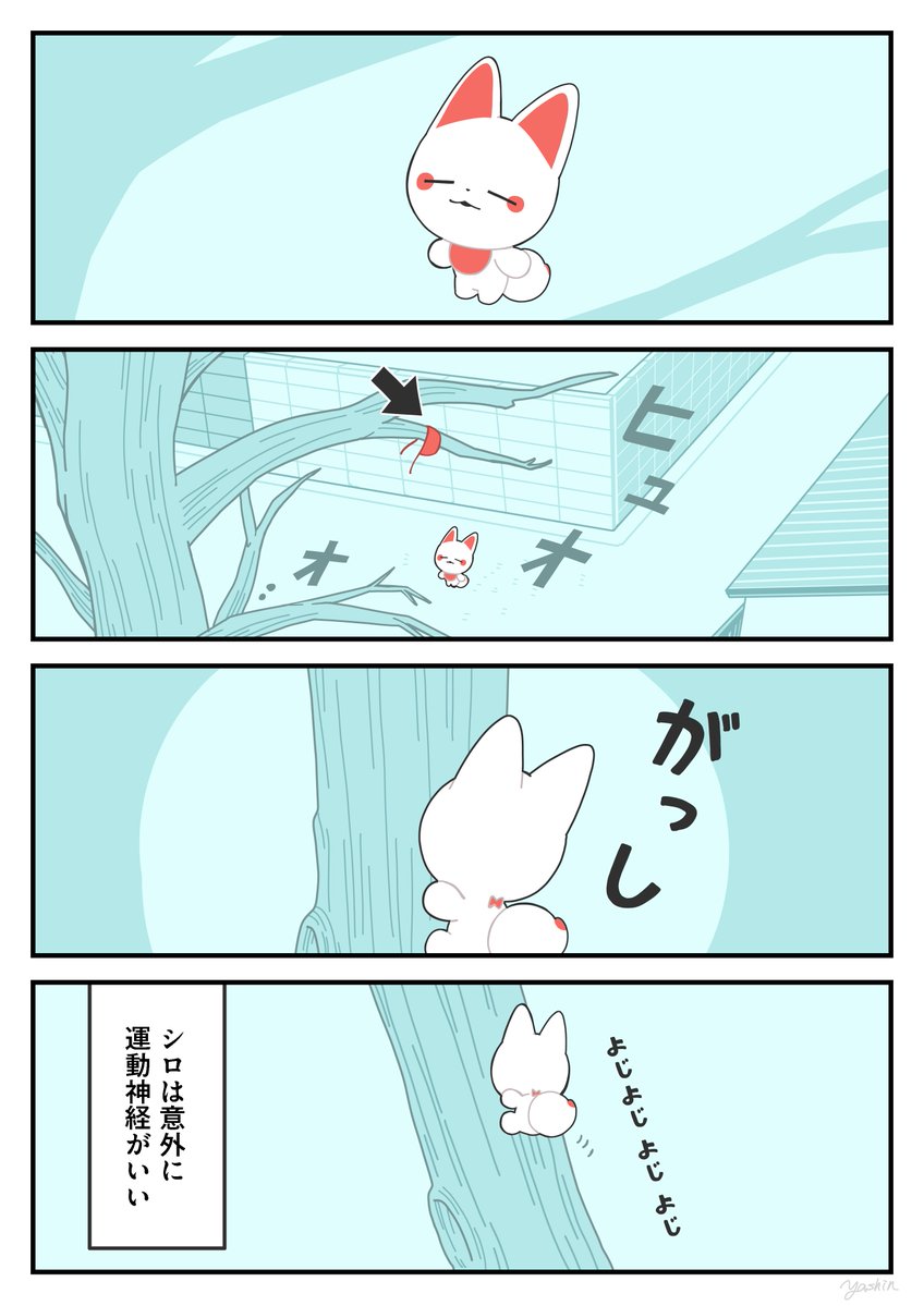 ヤシン tweet media