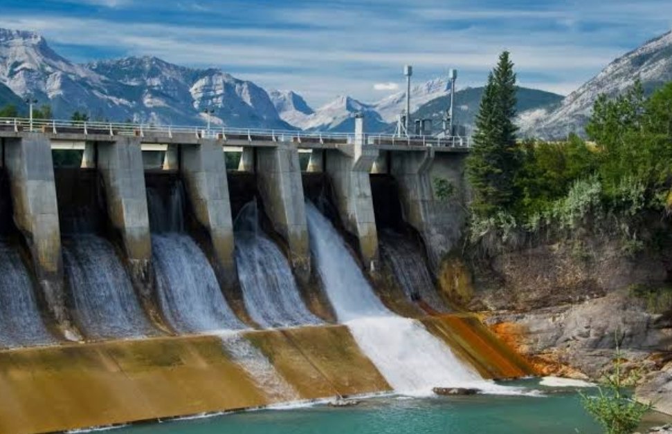 India & The World tweet media