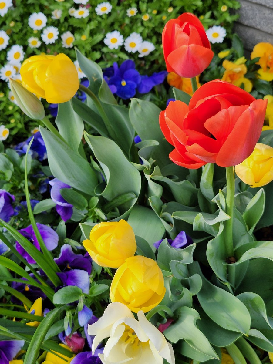 るんりん tweet media