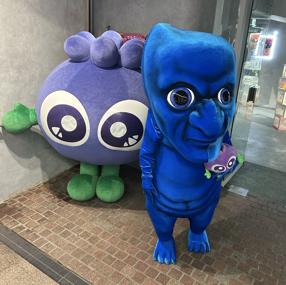 わかさ生活【公式】 tweet media