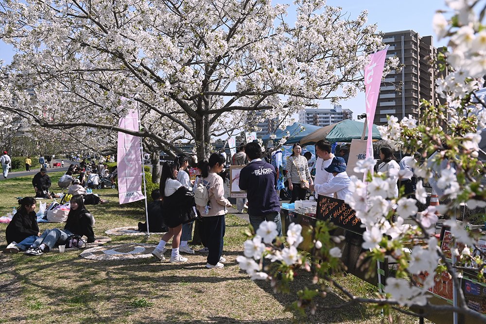 千葉県浦安市 tweet media