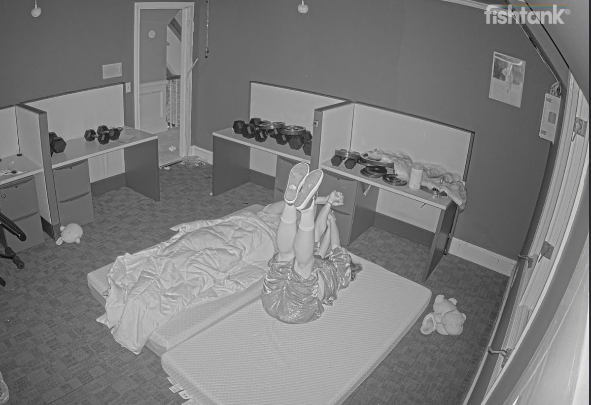 Pyracantic tweet media