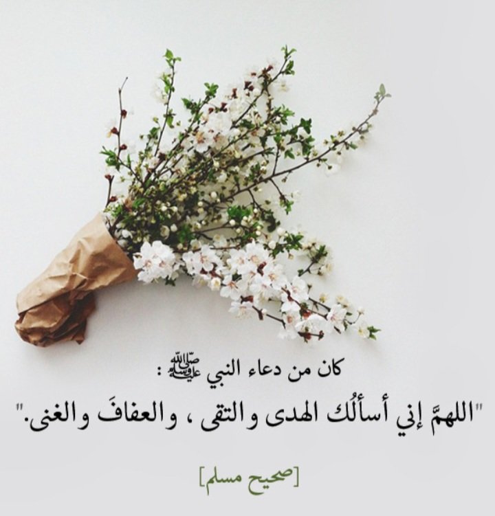 🌹 أنيقة الحرف 🌹 tweet media