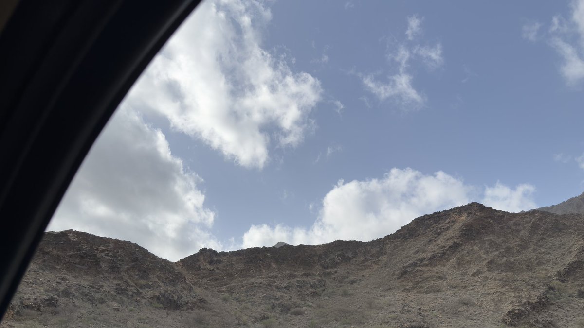 ريتاج شداد tweet media