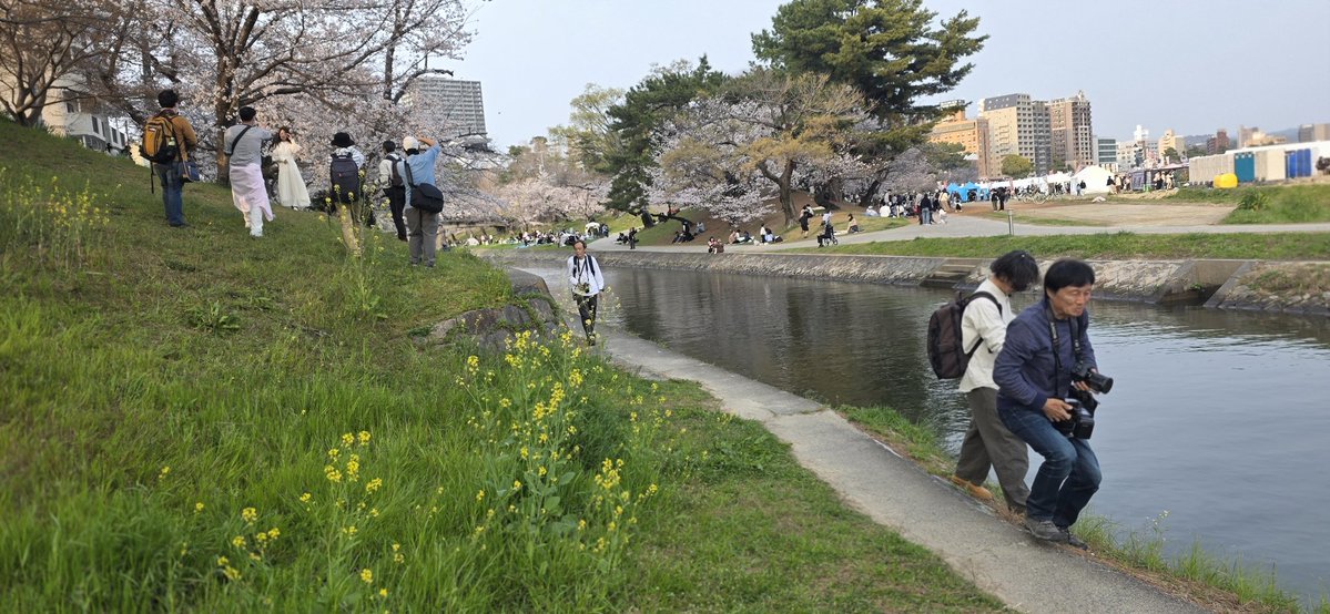 高橋 伸哉/写真作家/写真集/新刊「堕花」「impermanence」「IN THE ZONE」 tweet media