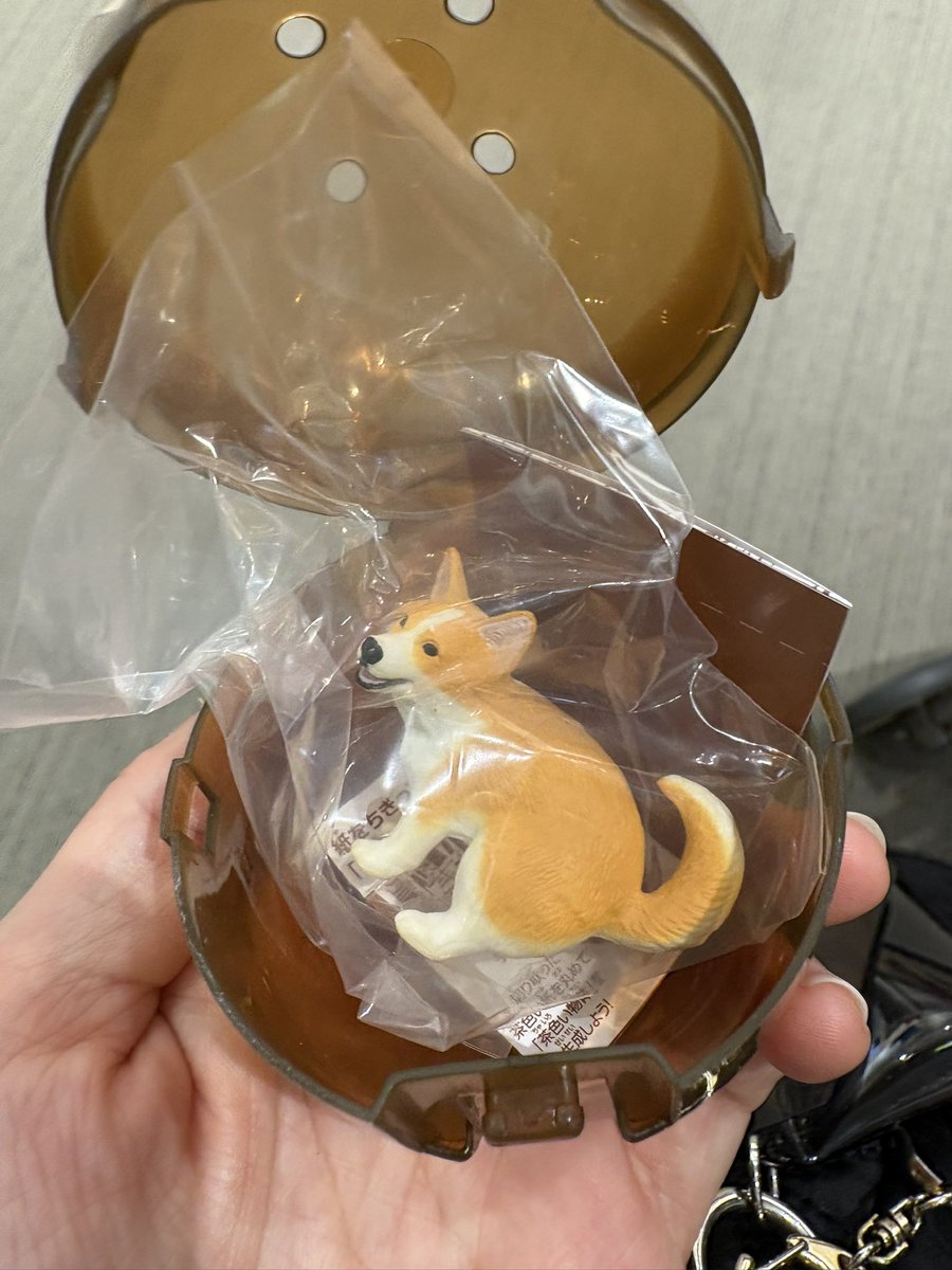 あめ🐕☔️ @交換 ♡ tweet media