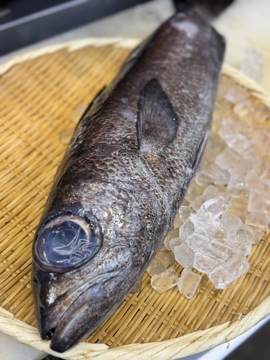 食事処「秋田や」@八潮で美味しいお米と日本酒を！ tweet media