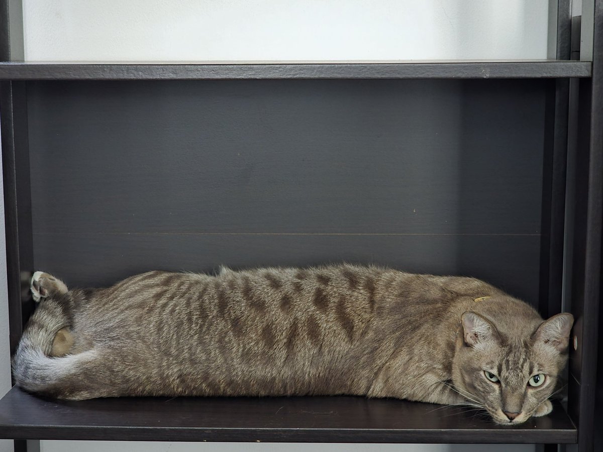 พี่โยพาเที่ยว tweet media