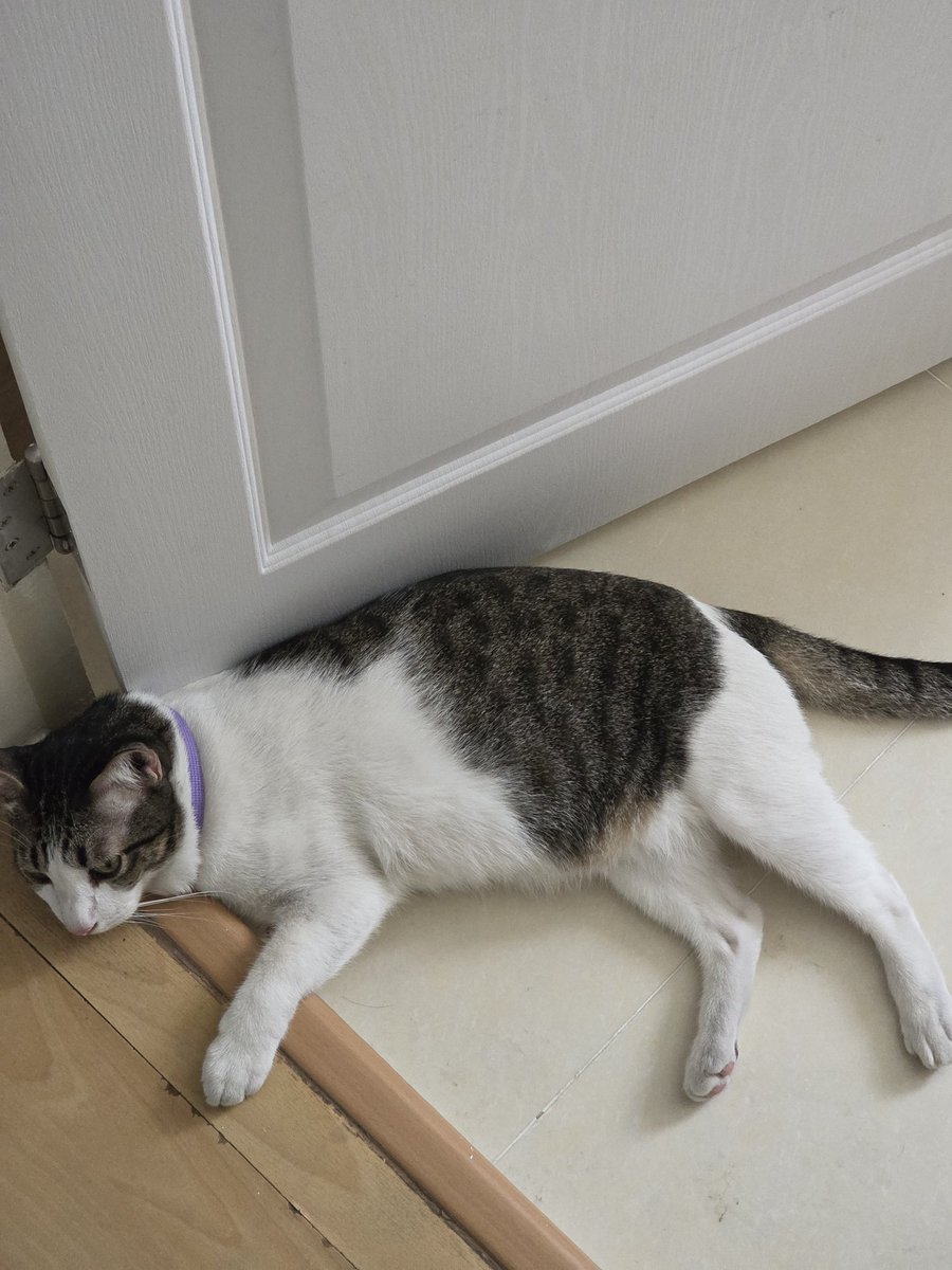 พี่โยพาเที่ยว tweet media