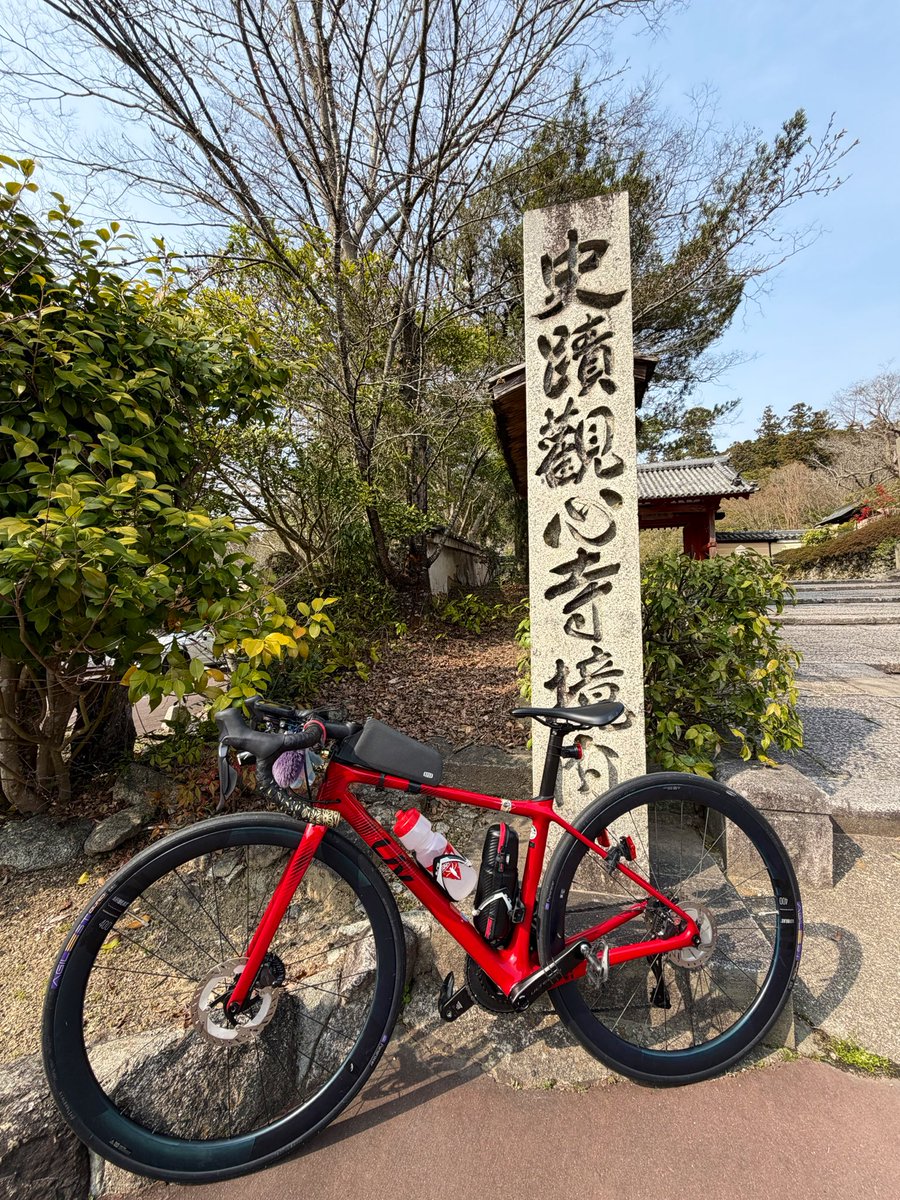 ヤモリスター☢️ tweet media