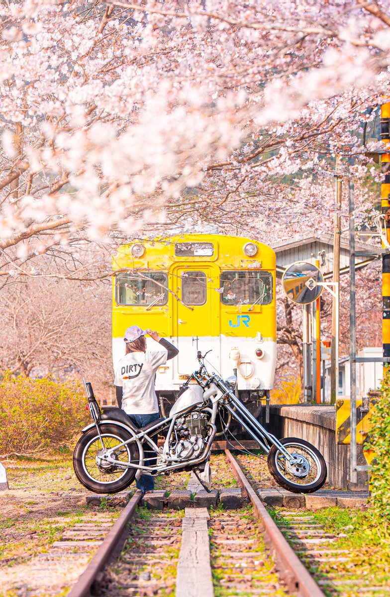 tama202210's tweet photo. モタサイ行きたかったなぁ〜。
お花見ソロツーで我慢🌸
今日出会った3人のカメラマンさんにカッコよく撮影してもらいました。
感謝(*ฅ́˘ฅ̀*)
※廃線で今は公園になっている場所です
#2persenter
#sr400 #chopper
#ハードテール
#ジョッキーシフト
#スプリンガーフォーク
#japanesemotorcycle https://t.co/kXXtbv5x29