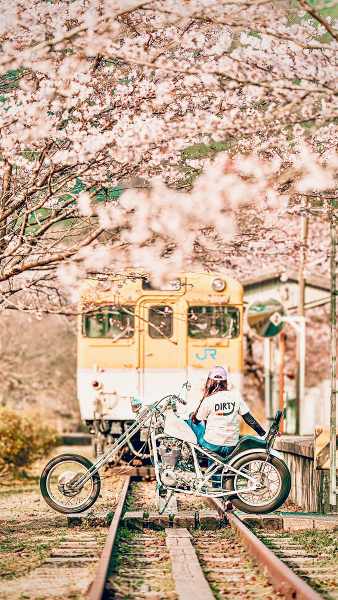 tama202210's tweet photo. モタサイ行きたかったなぁ〜。
お花見ソロツーで我慢🌸
今日出会った3人のカメラマンさんにカッコよく撮影してもらいました。
感謝(*ฅ́˘ฅ̀*)
※廃線で今は公園になっている場所です
#2persenter
#sr400 #chopper
#ハードテール
#ジョッキーシフト
#スプリンガーフォーク
#japanesemotorcycle https://t.co/kXXtbv5x29