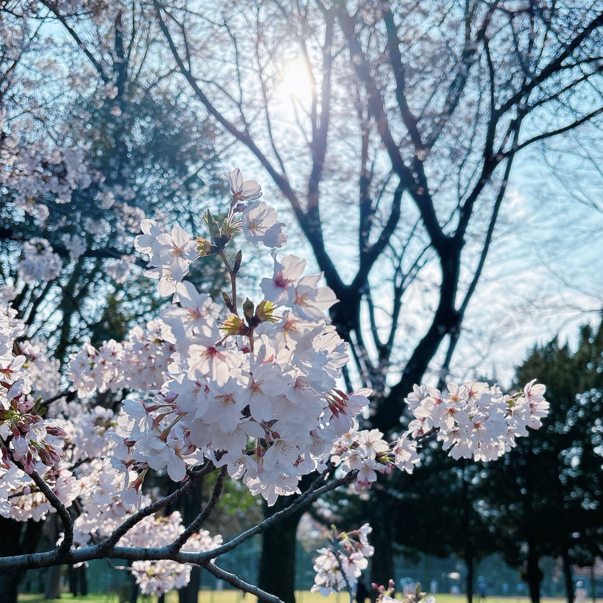 久永実木彦 tweet media