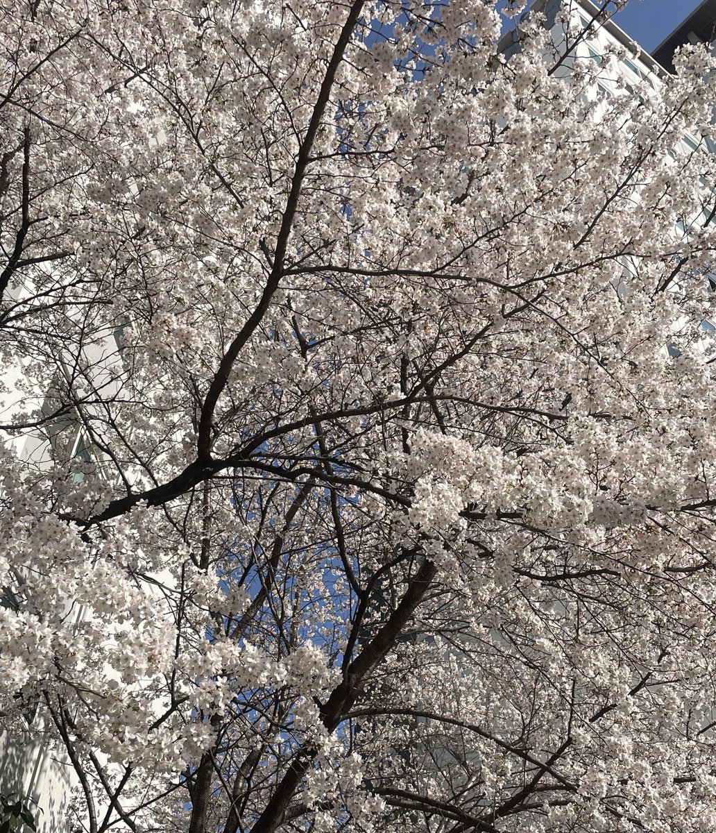 lu5clu's tweet photo. 초코바깃뜨
개레전드큰밴드
팝콘

삼성야구보지않음모르는일 https://t.co/Xd4FN7GaaH