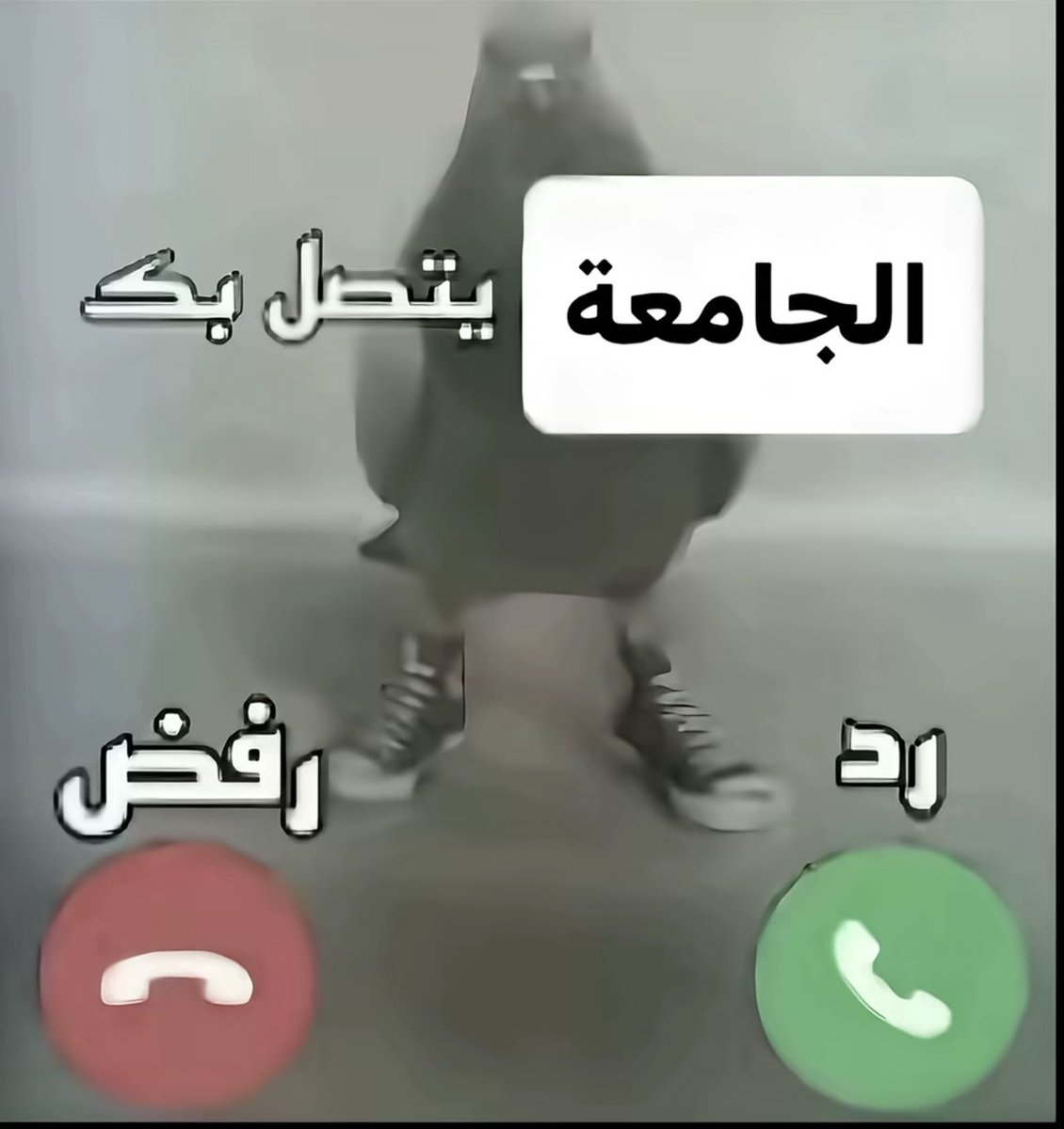 .👩🏻💻ب | بيدرا tweet media