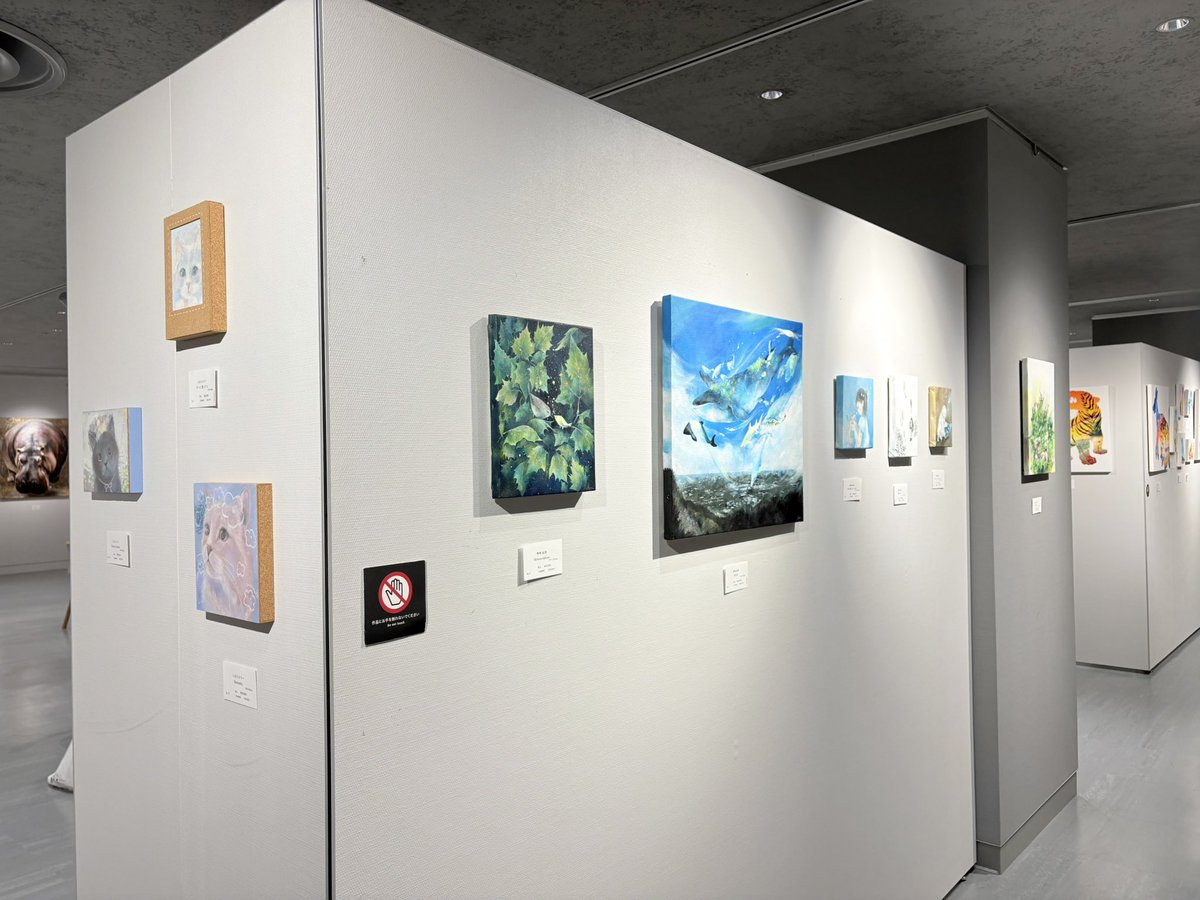 晴智ありさ◌Arisa Haruchi tweet media