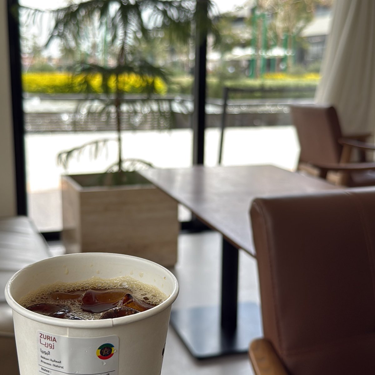 سَـديم tweet media