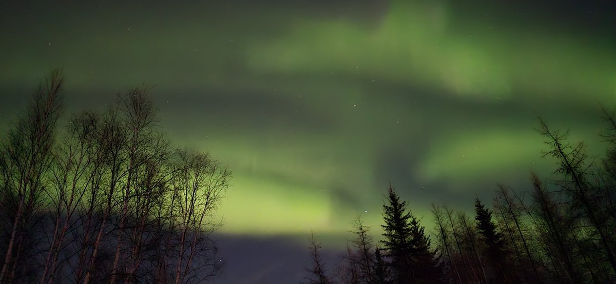 National Assembly tweet media