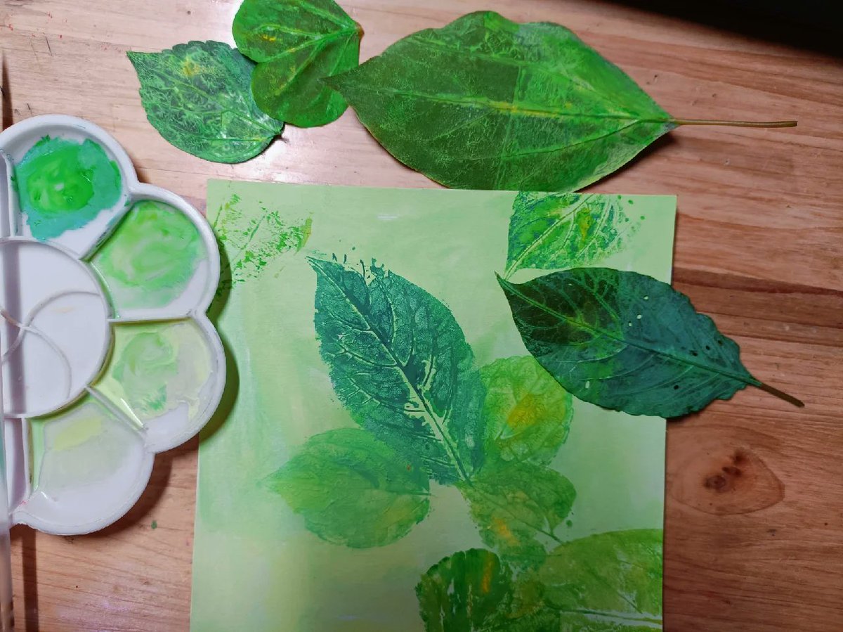 Stephan Tudic tweet media