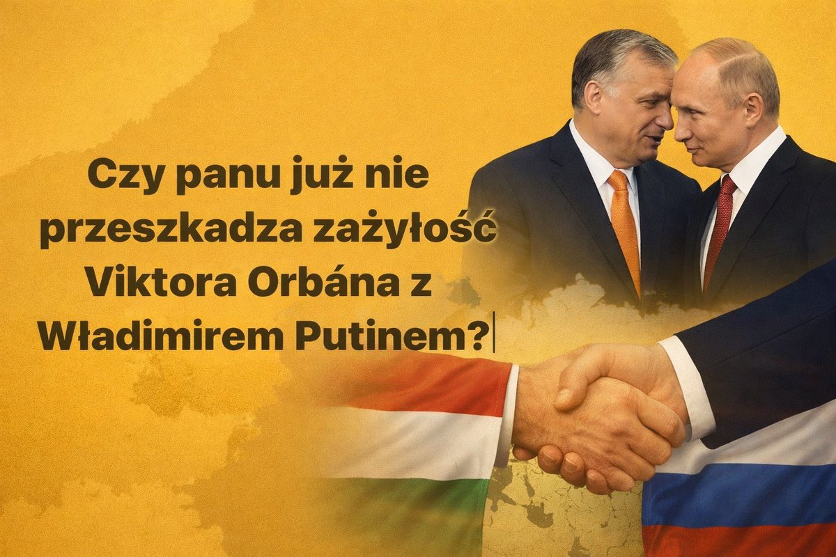 klokan 🇵🇱🇪🇺🇨🇿 tweet media