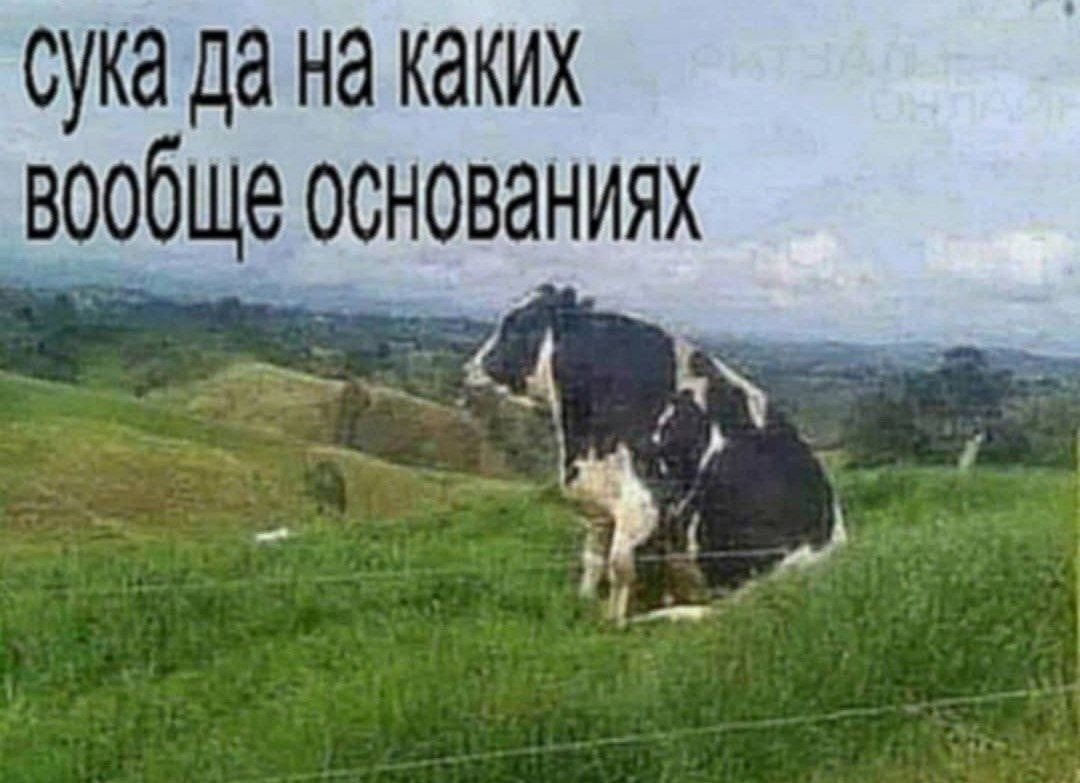 𝔤𝔦𝔭𝔢𝔯𝔪𝔞𝔯𝔦𝔫𝔞 𝔮𝔞𝔡𝔪𝔬𝔫 tweet media