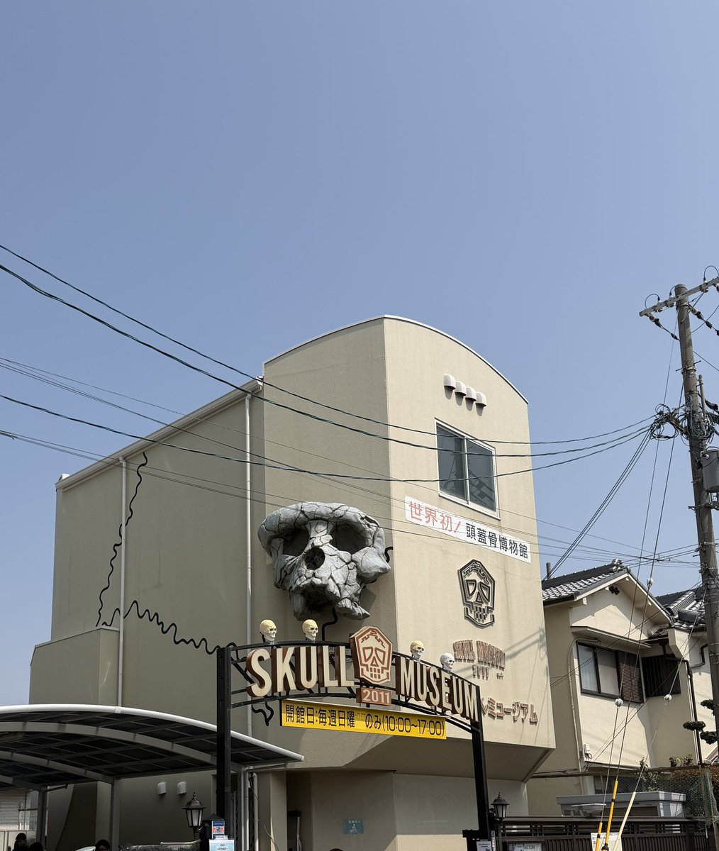 Hikaru TSUKUDA佃光 tweet media