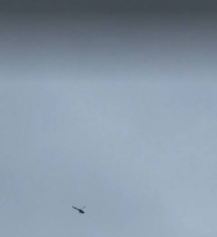 THE GLOBAL DECIPHER tweet media