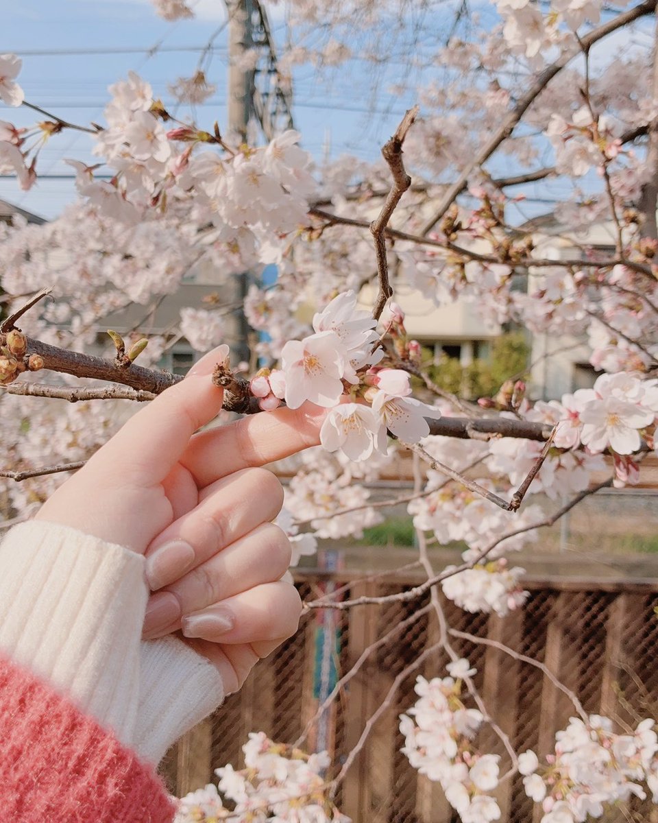 モアイユイ🍒5/10アニマルEXPO tweet media