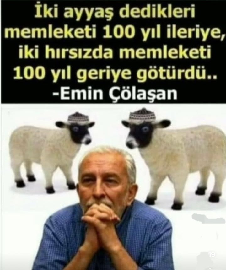 🆂🅴🅳🅰️ tweet media