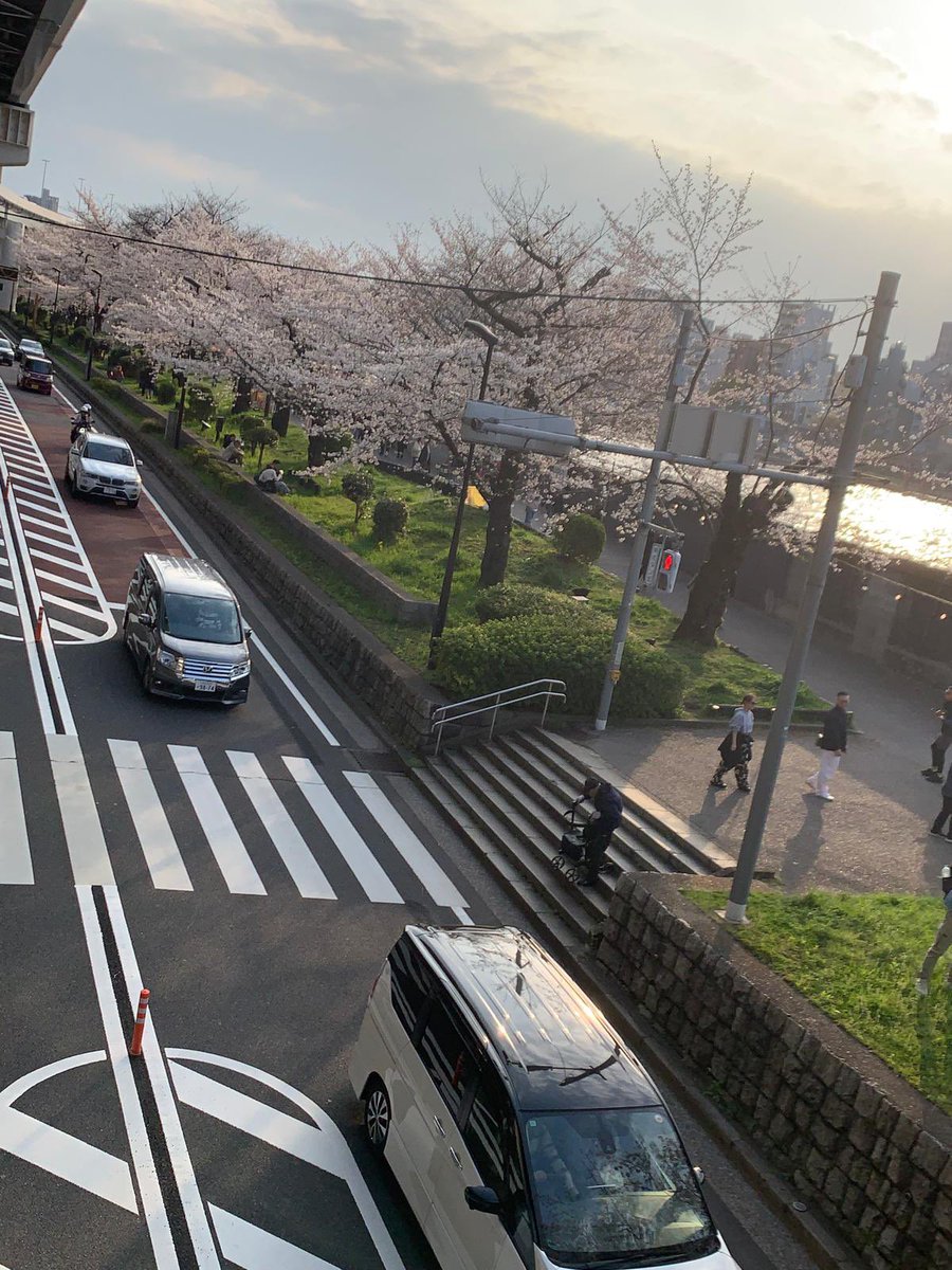 マリヤMagdalena tweet media