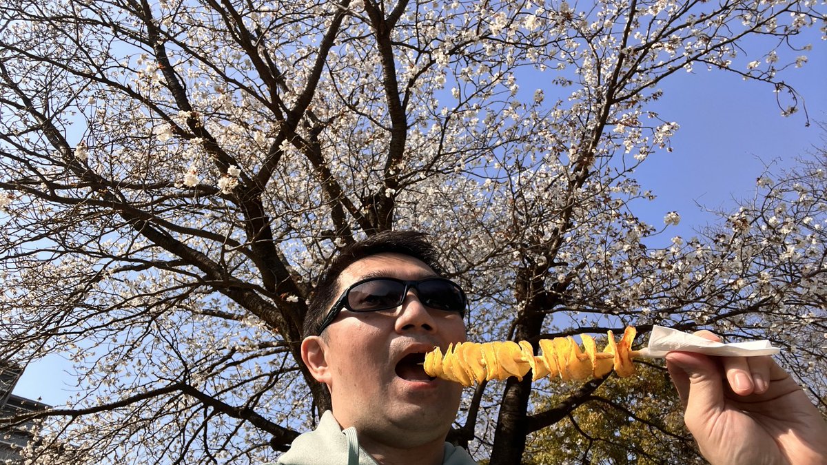 sget4's tweet photo. 今年も北山田の公園で花見をしました🌸
予報が外れて晴れて良かった✨
満開には程遠いけど、桜の下で美味いもん食べられて幸せでした😁
毎年子供達のダンスお披露目イベントも行っており、心も癒されました☺️
#山田富士公園さくら祭り2026 https://t.co/L3mGI6ZFOj
