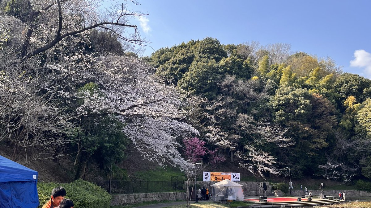sget4's tweet photo. 今年も北山田の公園で花見をしました🌸
予報が外れて晴れて良かった✨
満開には程遠いけど、桜の下で美味いもん食べられて幸せでした😁
毎年子供達のダンスお披露目イベントも行っており、心も癒されました☺️
#山田富士公園さくら祭り2026 https://t.co/L3mGI6ZFOj