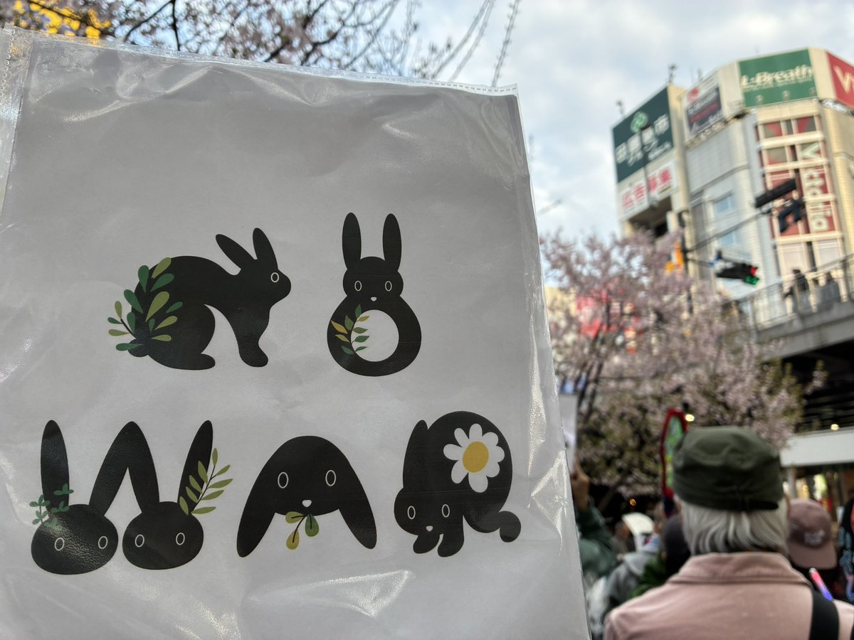 Hiroko Bannai🐭🕊 tweet media