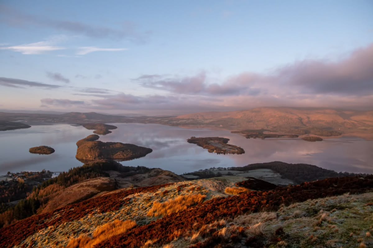 DavyTolmie tweet media