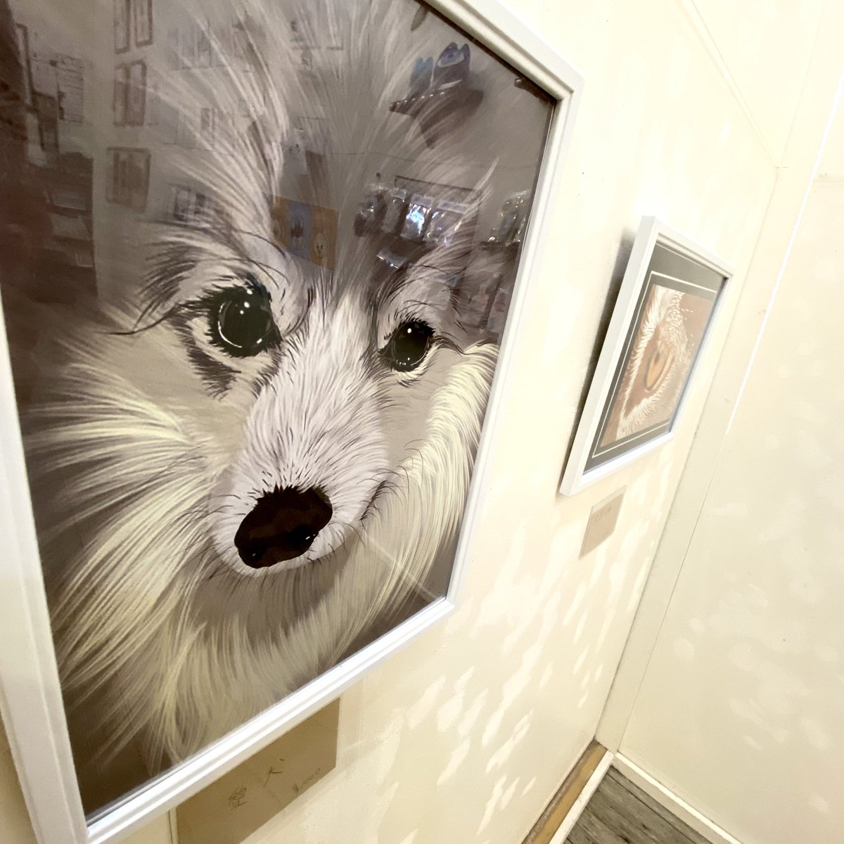 CURIOSITIES_shop&gallery tweet media