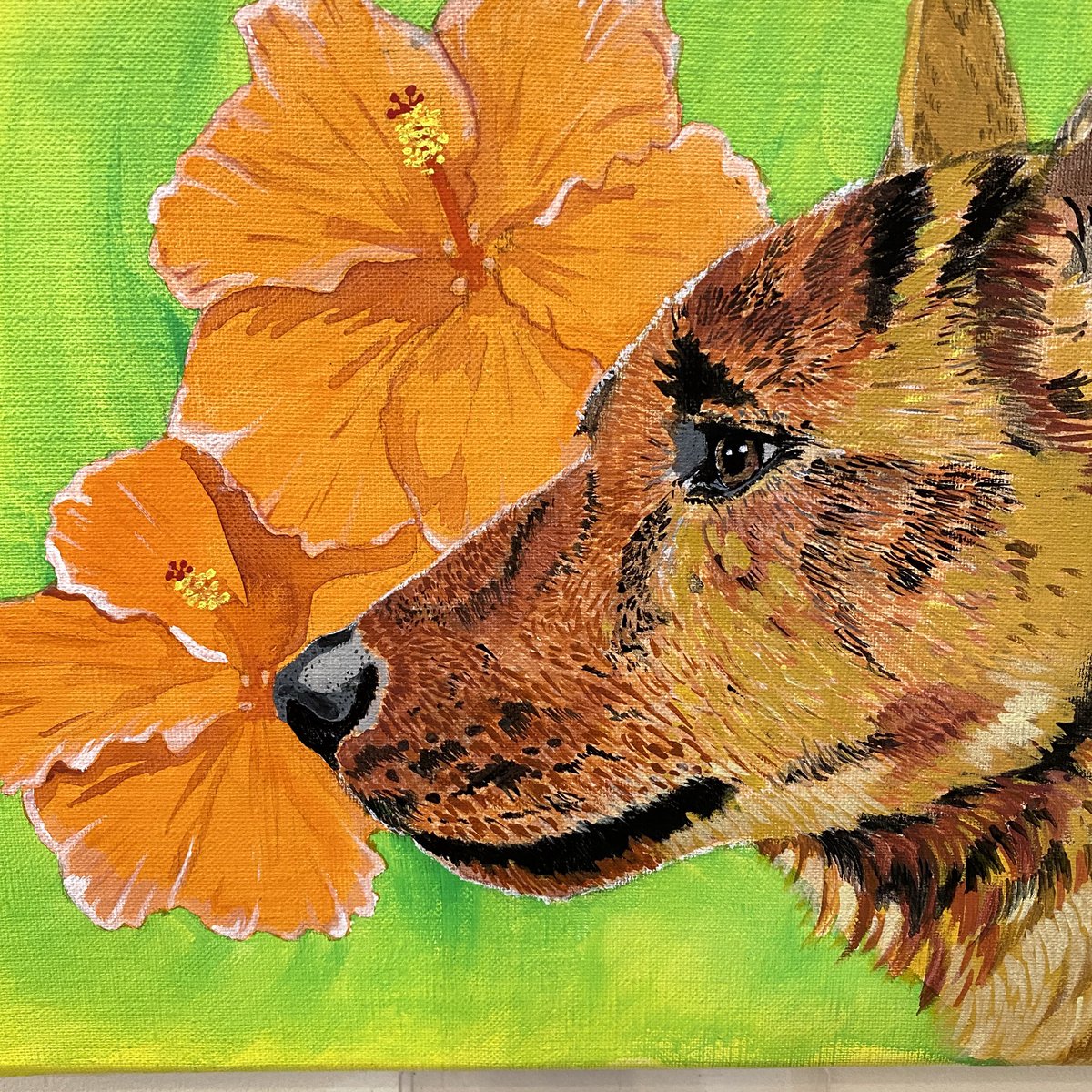 CURIOSITIES_shop&gallery tweet media