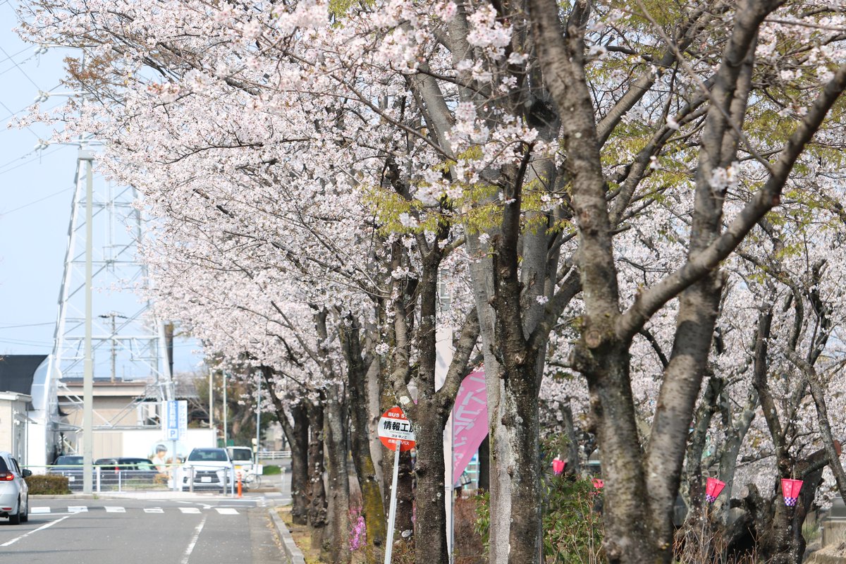 大垣市情報工房 tweet media