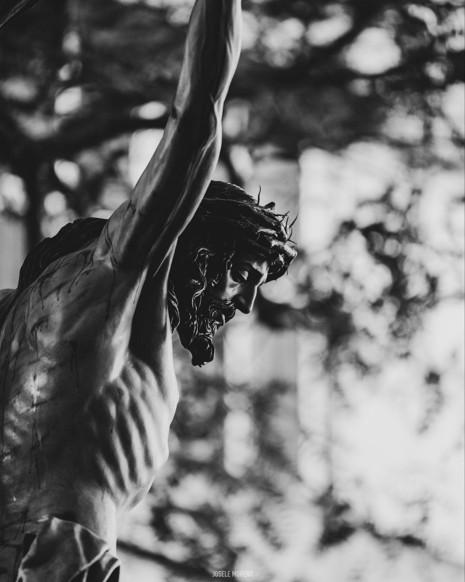 Josele Moreno | Fotógrafo tweet media