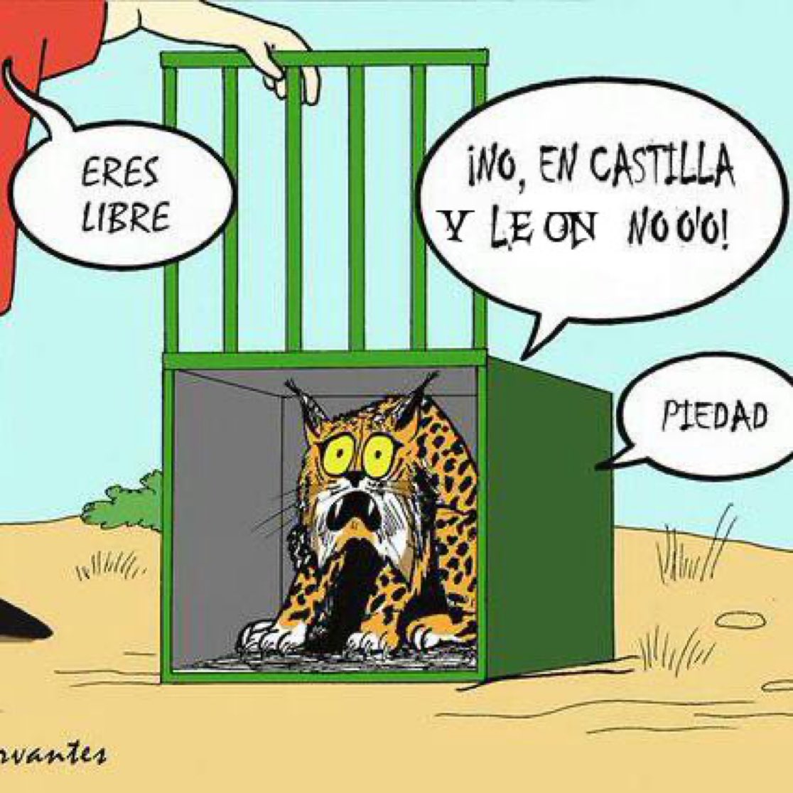 Rosa M. Tristán tweet media