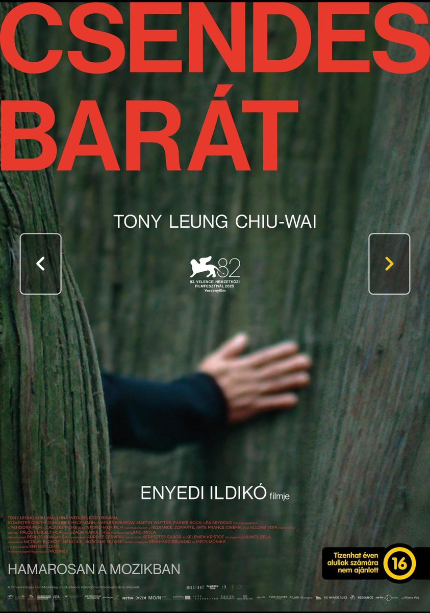 carollailailai's tweet photo. "a bunch of lonely souls"
"watching us, thinkIng about us"
#gingkotrees #神様
映画 #silentfriend #トニー・レオン
#relay杜の詩 #サザンオールスターズ
https://t.co/W0JdeVNjaV https://t.co/ZMpvXtfNUa