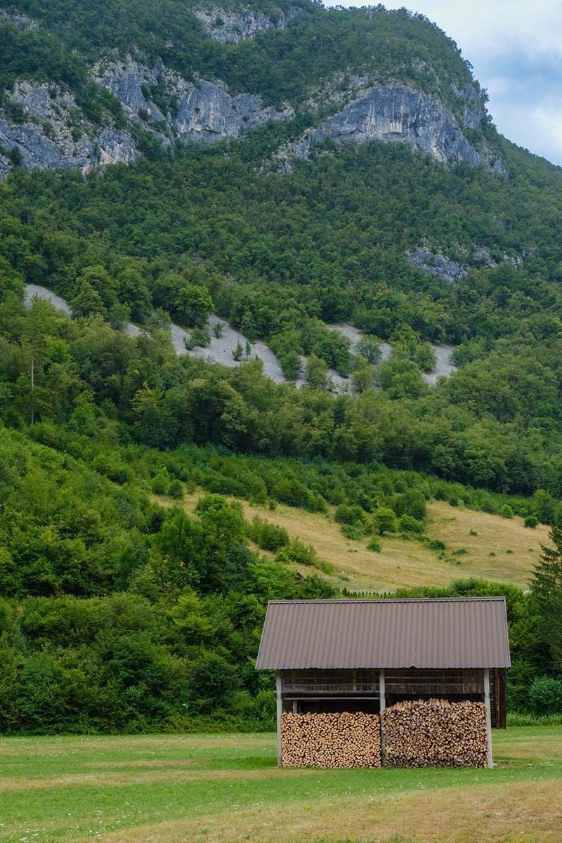 Judi Saunders tweet media