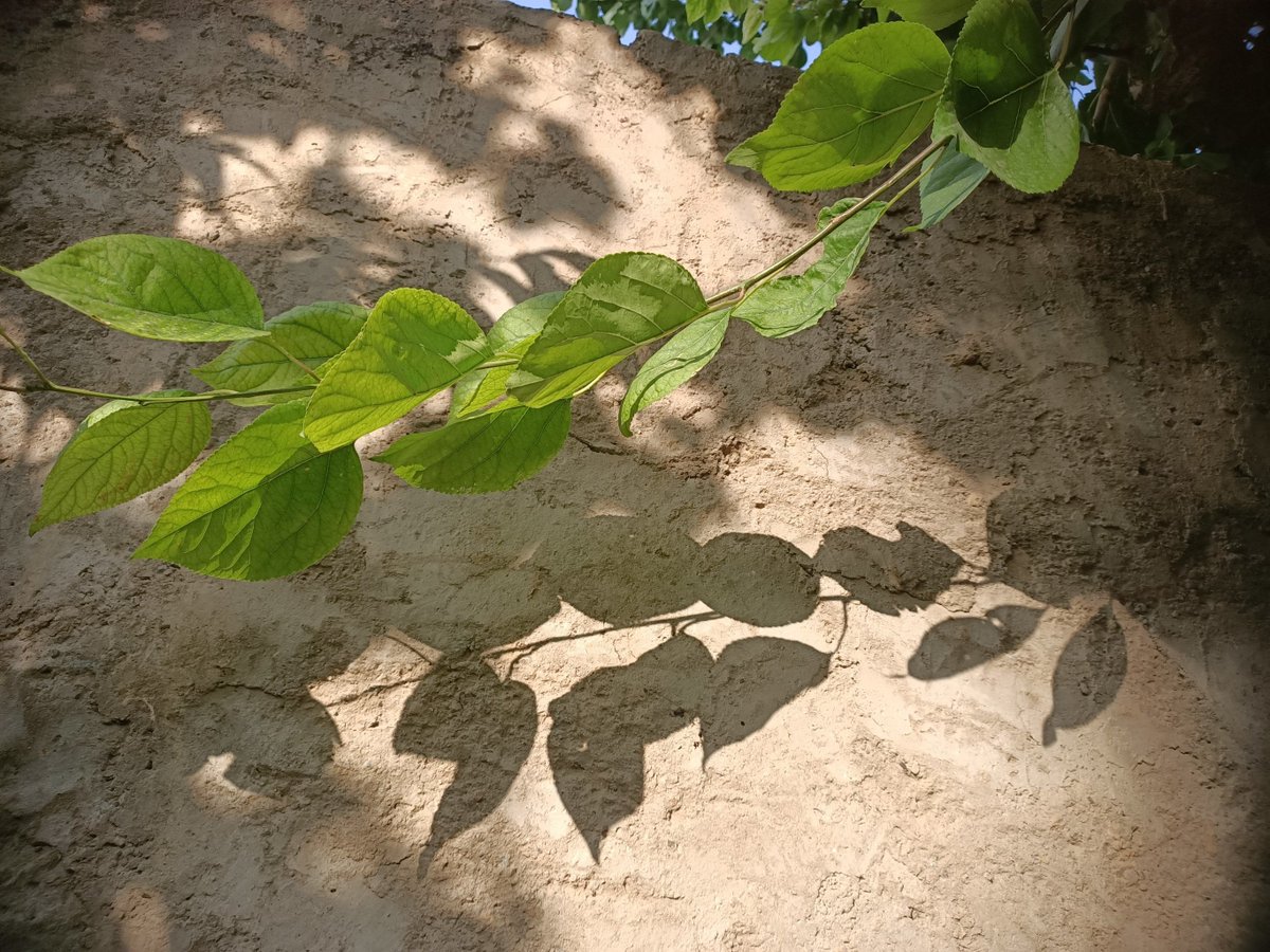 Riley Logan tweet media