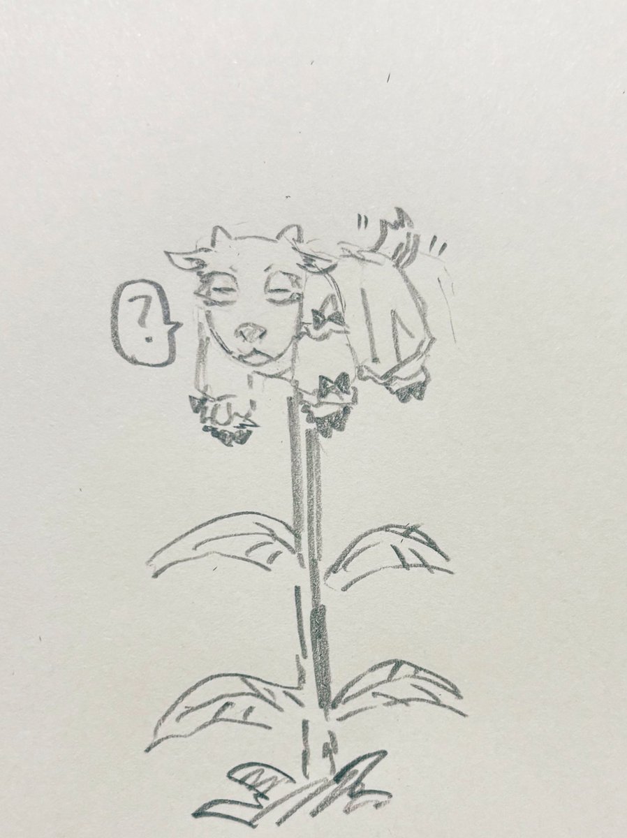 明日川春秋 tweet media